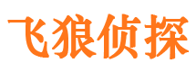 禹城市私家侦探